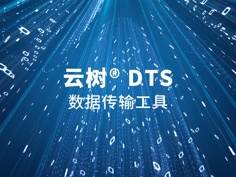 云树·DTS : 数据传输工具