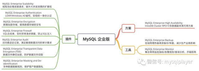 MySQL 8的备份工具你怎么选择-爱可生